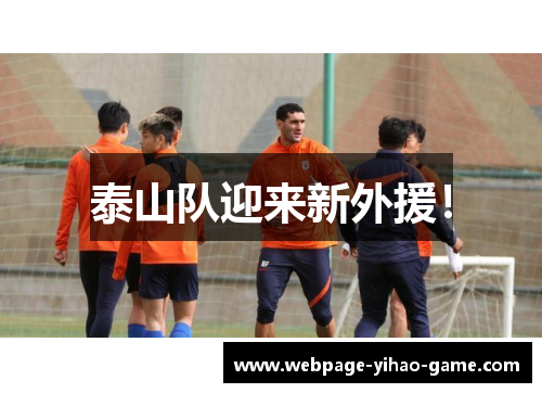 泰山队迎来新外援！
