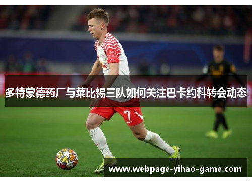 多特蒙德药厂与莱比锡三队如何关注巴卡约科转会动态
