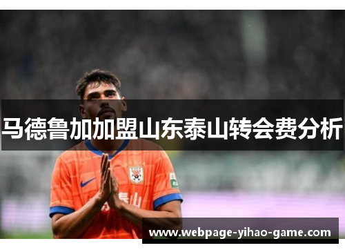 马德鲁加加盟山东泰山转会费分析 马德鲁加加盟山东泰山转会费分析