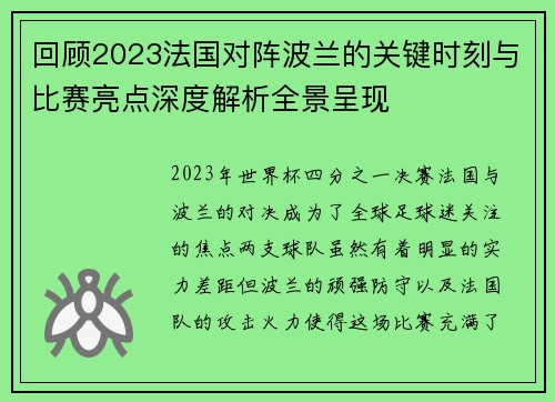 回顾2023法国对阵波兰的关键时刻与比赛亮点深度解析全景呈现 回顾2023法国对阵波兰的关键时刻与比赛亮点深度解析全景呈现